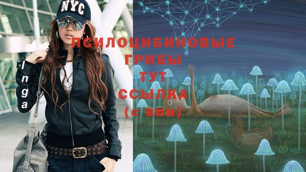 первитин Алексеевка