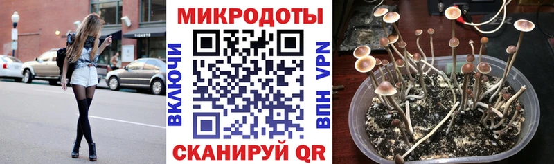 Галлюциногенные грибы Magic Shrooms  гидра рабочий сайт  Кирс 
